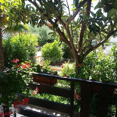 Apartment Perunika ซาดาร์ ภายนอก รูปภาพ