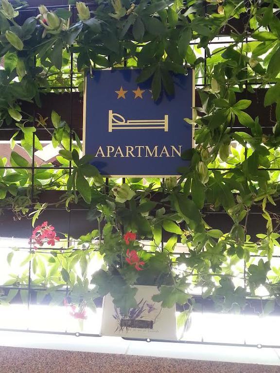 Apartment Perunika ซาดาร์ ภายนอก รูปภาพ