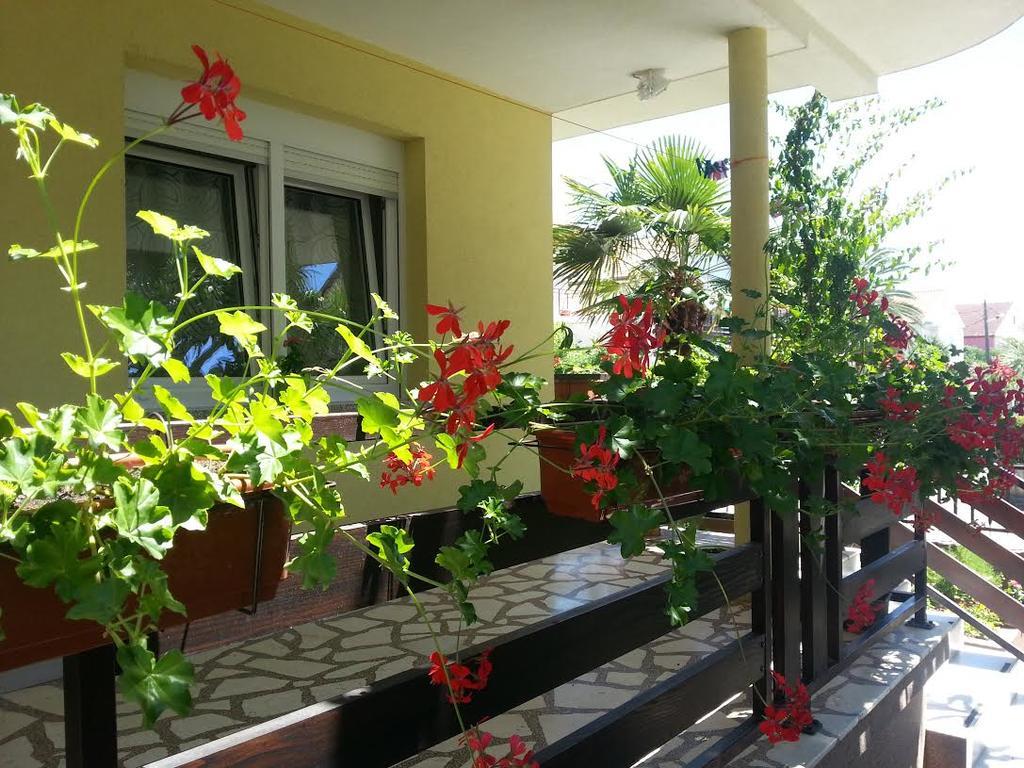 Apartment Perunika ซาดาร์ ภายนอก รูปภาพ